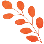 branch4 branch4